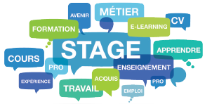 Retrouvez ici toutes nos offres de stage et de contrat d'apprentissage, mais également des offres d'emploi, documents relatifs aux stages au sein de nos formations, liste d'entreprises accueillant nos stagiaires et apprentis, etc.